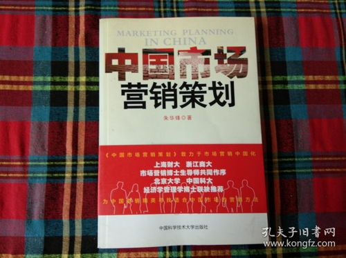 中国市场营销策划 洞察、策略与本土化执行